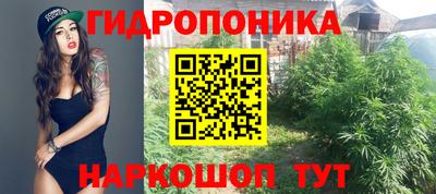 стафф Северобайкальск
